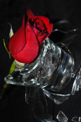 glass and roses