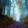 Path of Prajna