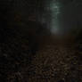 Crawling