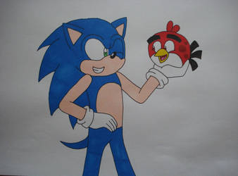 Sonic x Angry Birds