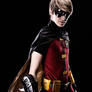 Robin: Boy Wonder