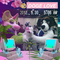 D o g e  L o v e