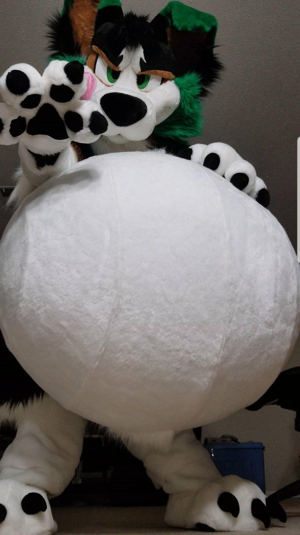 Fat Furry 4 By Bond750JR On DeviantArt fat-furry-4-by-bond750jr-on-deviantart