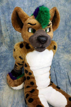 Nos Hyena