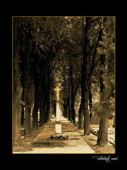 cross way