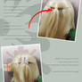 Wig Tutorial: 1 high ponytail
