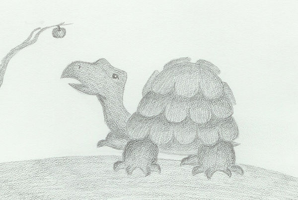 Turtle and Apple by fakewolf on DeviantArt