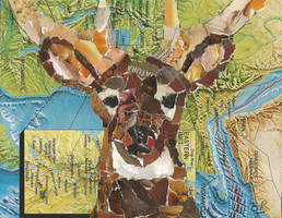 Collage of a Deer