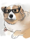 Short-sighted doggy by Egobarri