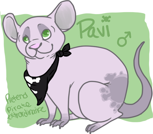 Pavi Ref