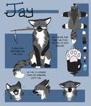 Jay ref commission by Painted-Shadow