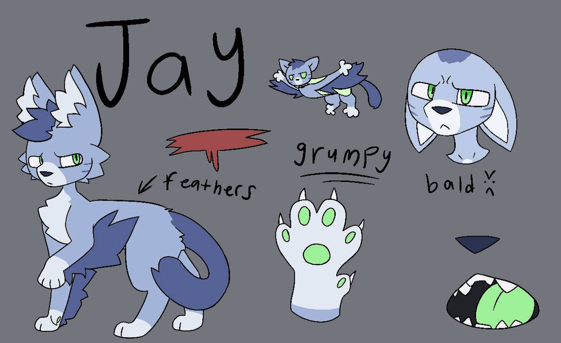 Jay :3 by Spottedclaw707 on DeviantArt