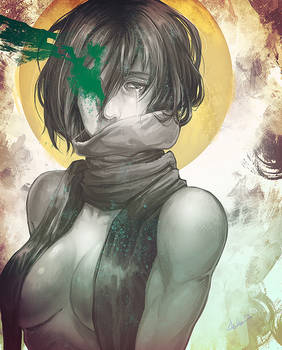 Mikasa bw