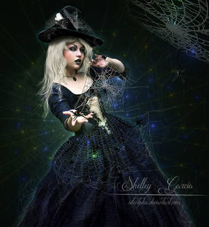 Arachnophilia by SilentPlea Arachnophilia by SilentPlea