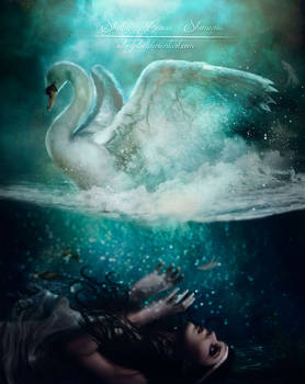 Swan Lake