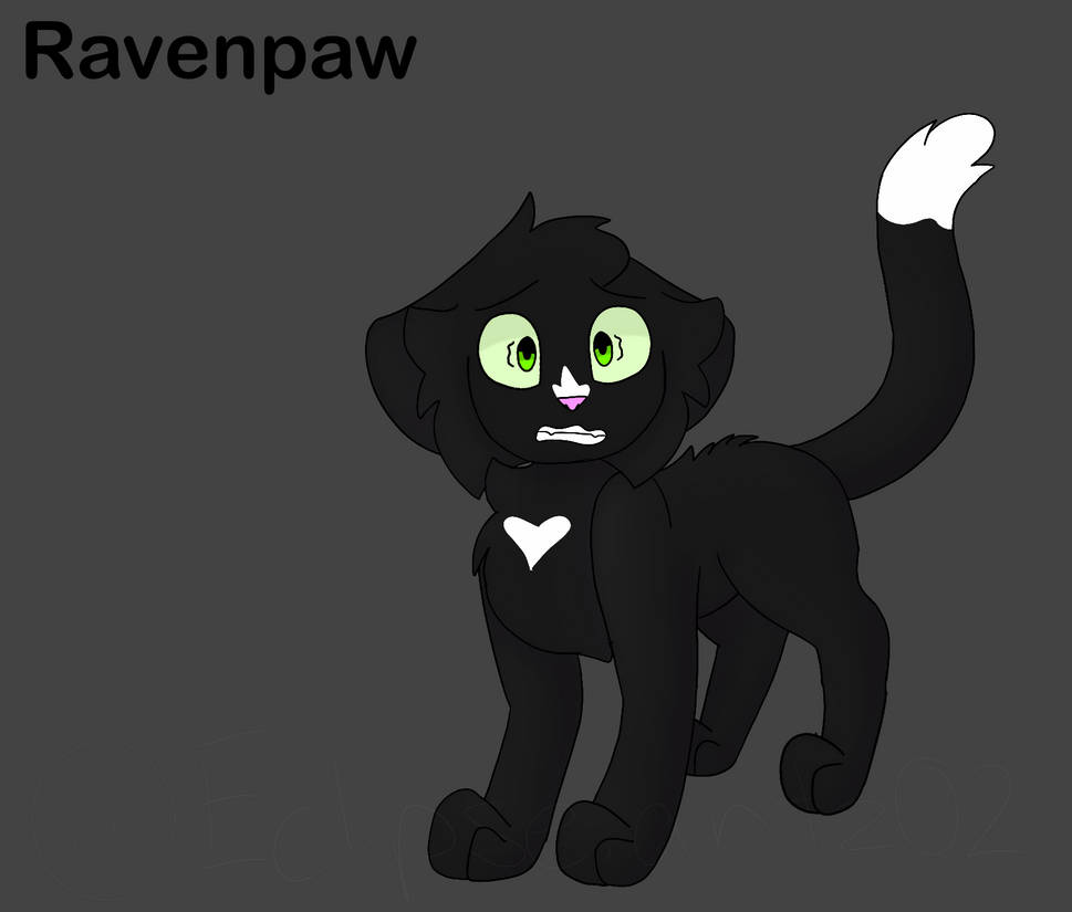 Ravenpaw || Warrior Cats Designs by EclipseArtz02 on DeviantArt