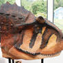 Carnotaurus Head