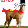 Give a llama today