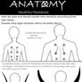 Slender Anatomy : Tentacles / Tendrils
