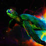 Dreams of a Cosmic Turtle