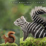 Squirrel-zebra