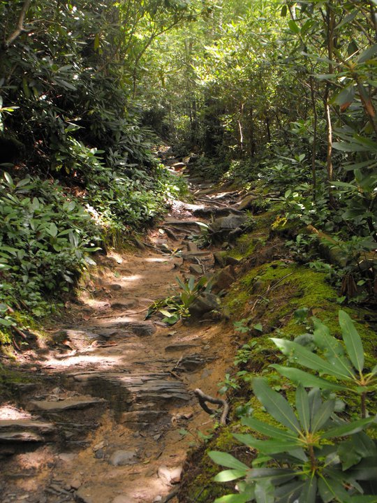 Trail in Tennessee