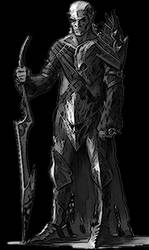 Dark Elf Warrior Concept