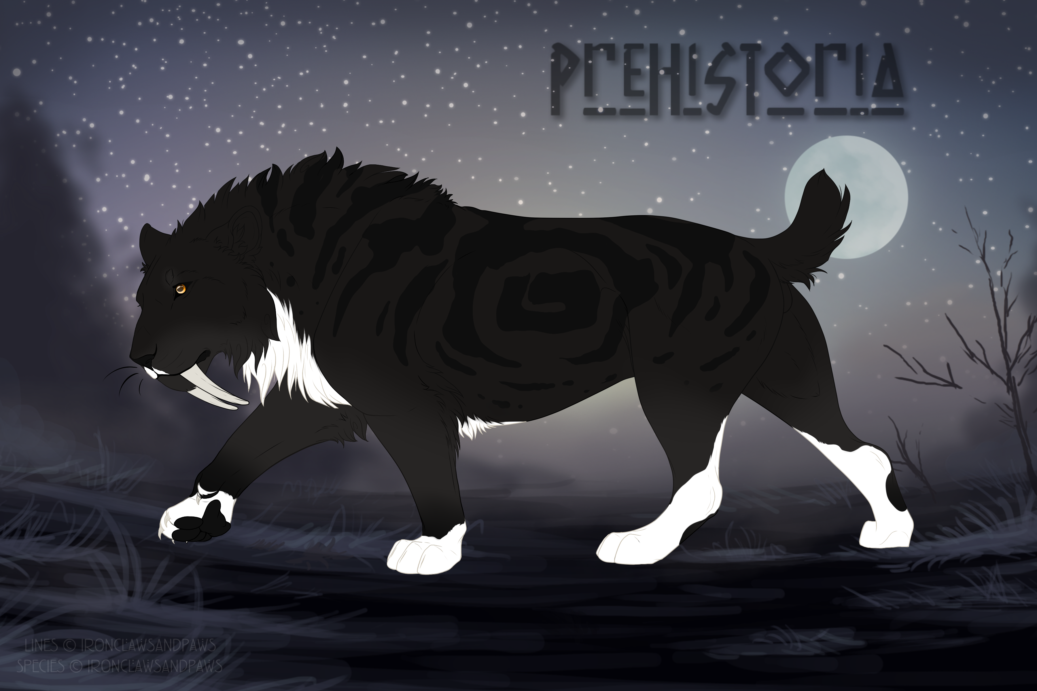 Meeko S09