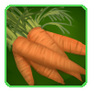 Carrots