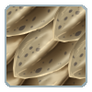Titanoboa Scales