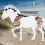 Pontus E471