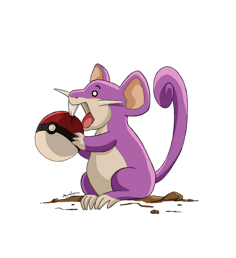 Rattata