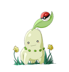 Chikorita