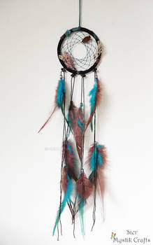 Beach Dream Catcher