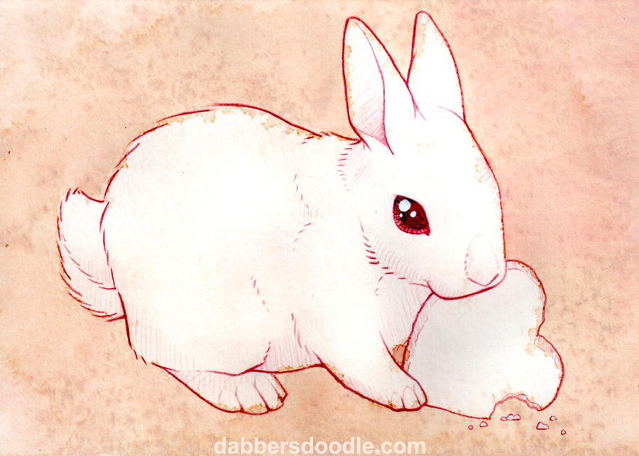 White Bunny Rabbit