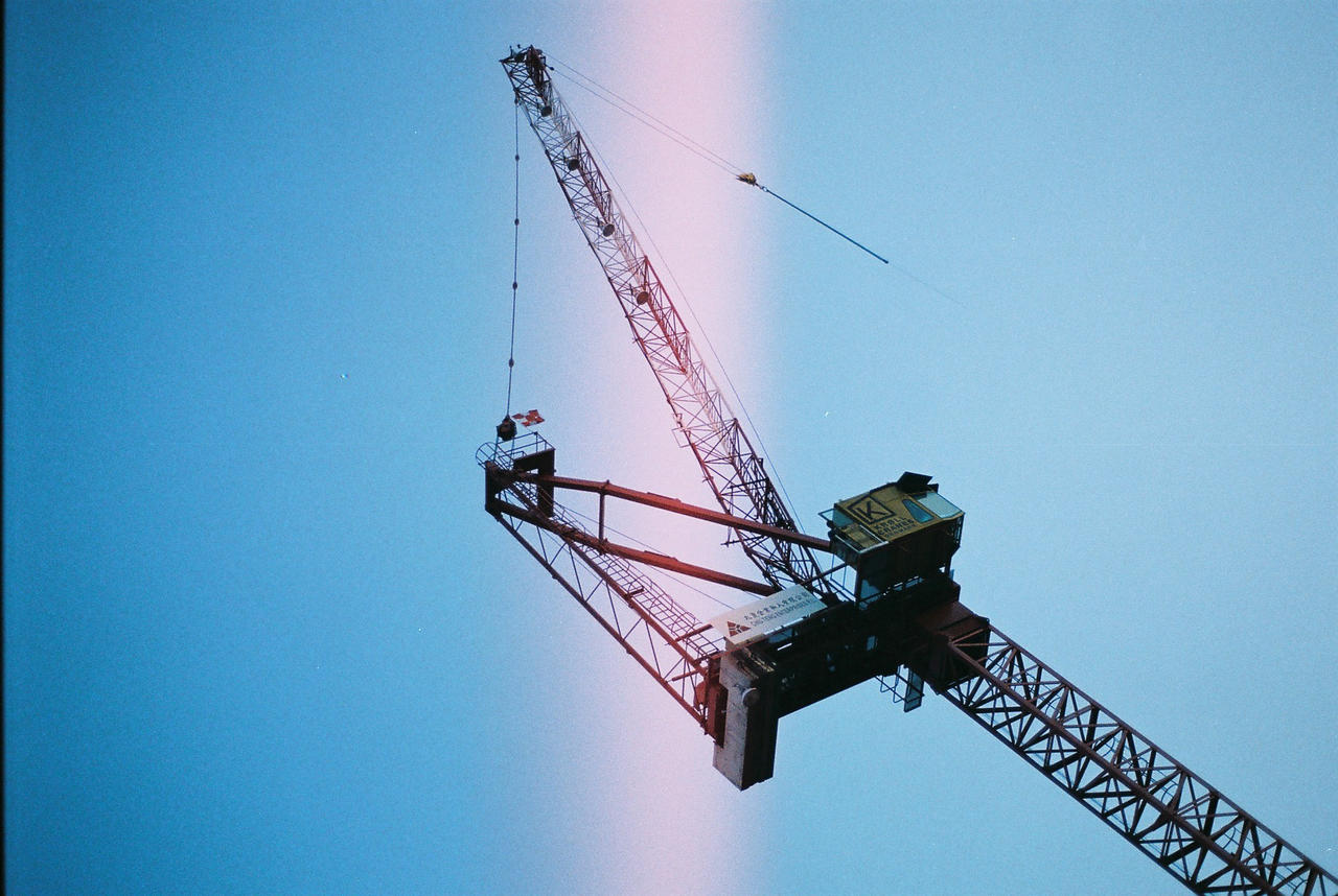 crane in the sky