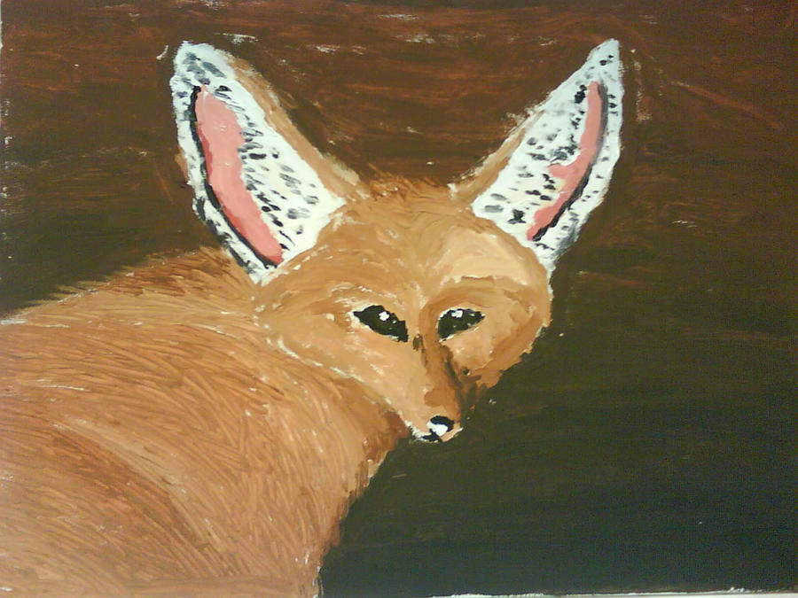 Fennec Fox, acrylic on canvas