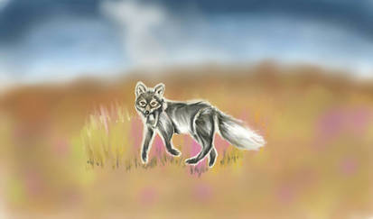 Running arctic fox