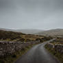 Into The Quiet