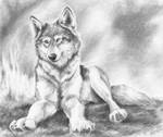 Sitting Wolf by greenleafcm