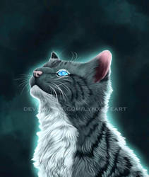 Jayfeather