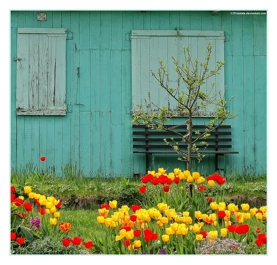 Colorful Springtime Back Colorful Springtime by 51ststate on DeviantArt