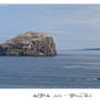 Alba 10 - Bass Rock 1