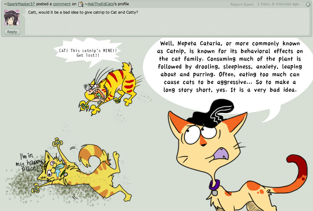 Ask the Ed Cats- Question 01 by AskTheEdCats on DeviantArt