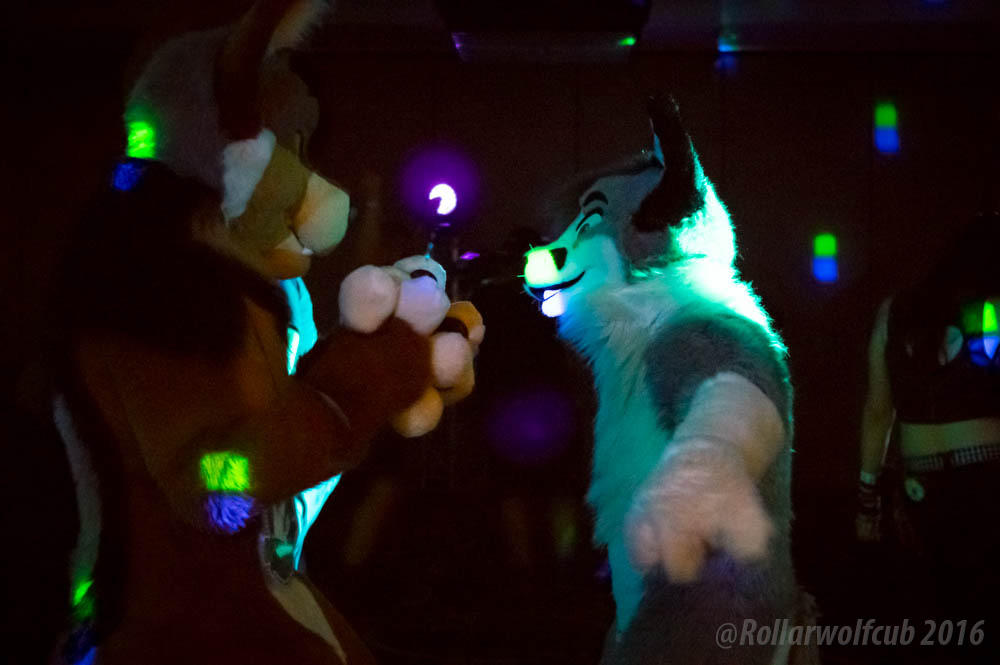 Havencon 2016 Rave furry love 6 by rollarwolfcub on DeviantArt