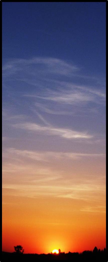 Vertical sunset....