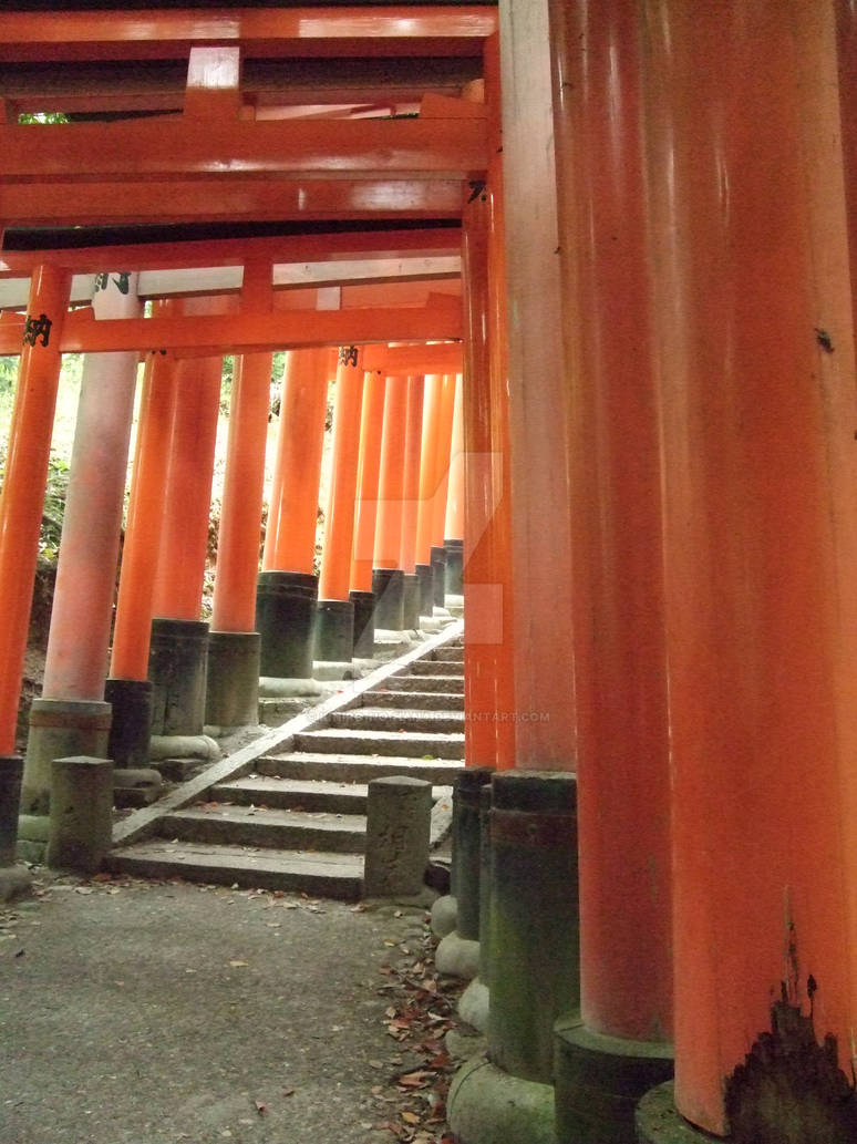 Red Torii at Fushimi Inari