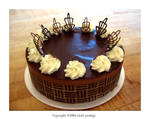 Chocolate Truffle Mousse Cake by child-prodigy