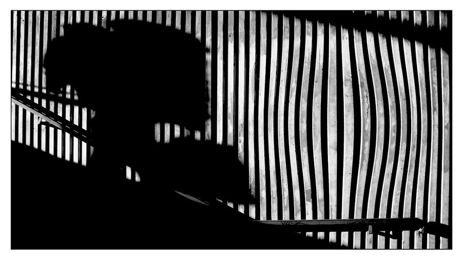 Shadow Model Walk WALKING SHADOW by garg1000 on DeviantArt