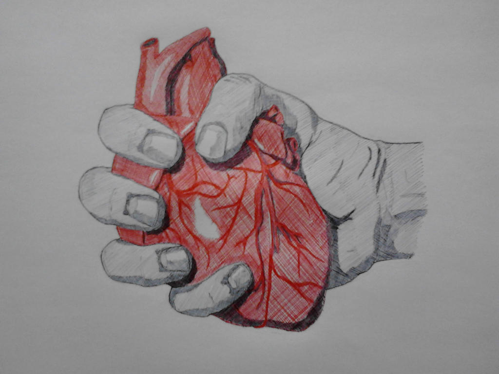 Человек разбившийся сердце. Анатомическое сердце в руке. Человеческонсердце в руке.